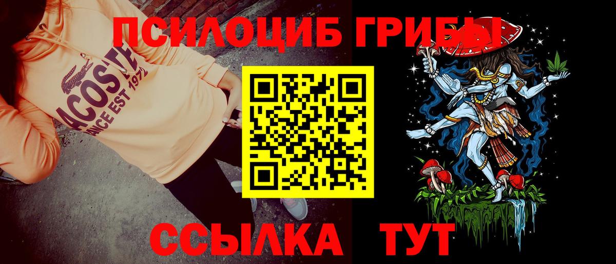 Петропавловск-Камчатский  Галлюциногенные грибы мицелий  Вход с VPN 