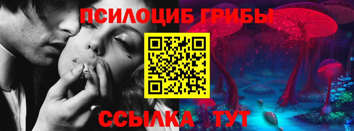Псилоцибиновые грибы мухоморы Петропавловск-Камчатский